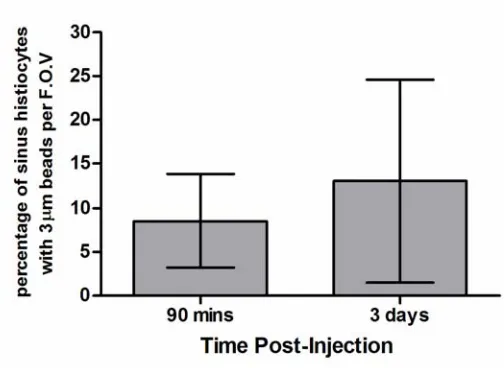 Figure 2.8 Quantification of sinus histiocytes containing 3 μm beads. A 