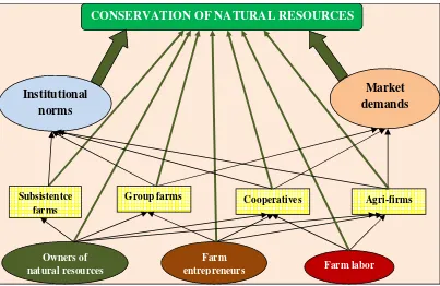 Figure 1: Structures of environmental management in agriculture