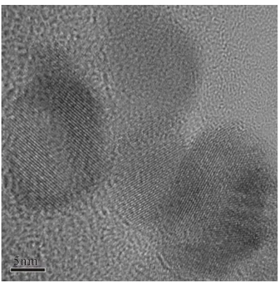 Figure 1. Typical TEM image of the modified sample.  