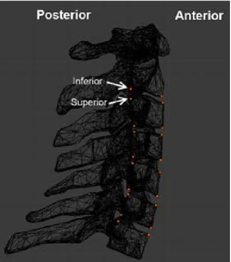 Figure 1. Sensor positions.