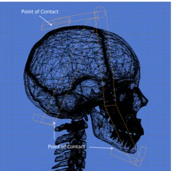 Table 1. Body Segment Mass