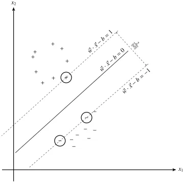 Figure 1.4: Hyperplane and the support vectors.