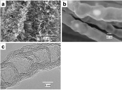 Figure 4.4 The N-doped CNTs: (a) low magnification and (b) high magnification SEM image; (c) HRTEM 