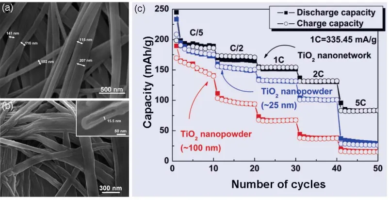 Figure 2.4 SEM image of (a) the peptide template and (b) the TiO2 network (inset: magnified image of 