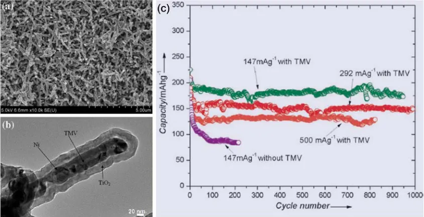 Figure 2.5 The electrochemical performance of TiO2-(Ni-TMV) nanocomposites as anode of LIBs