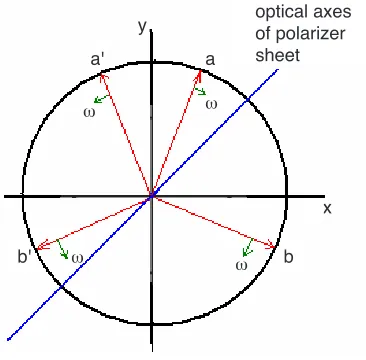 Figure 3. The polarization plane(yz) of LP light makes 45 angle withthe optic axis of polarizer.