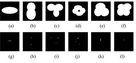 Figure 4. Erosion limit result. (a)-image; (g)(f): Original cell binary -(l): Erosion limit result