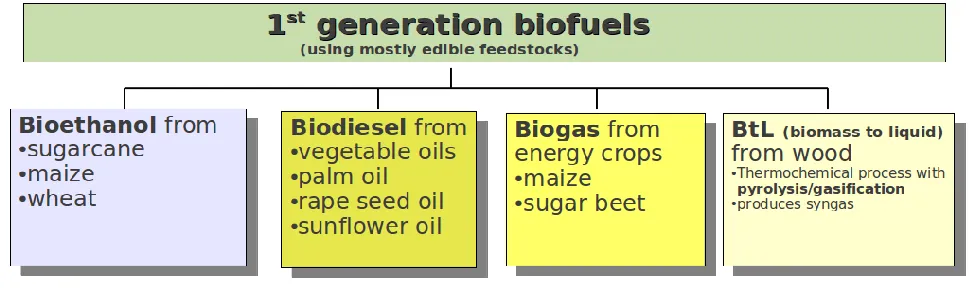 Figure 1: Classification of First Generation Biofuels 