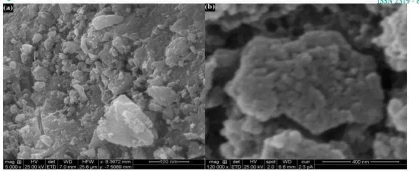Fig. 3.4 SEM Images of (a) Cu2O Nanoparticles and (b) Cu2O/PANI Nanocomposite 