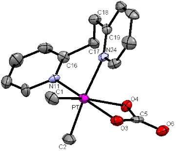 Figure 2.15. A view of the structure of complex 2.13. 