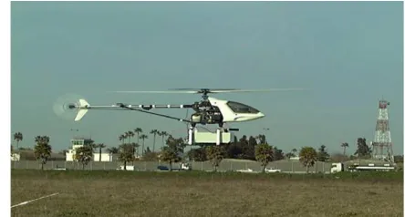 Fig. 3. Black widow (AeroVironment).  