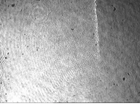 Figure 2. Displays the initial interferogram at the beginning of the test. 