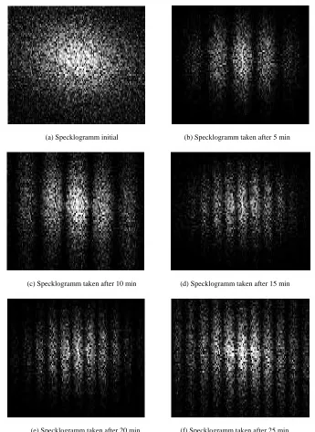 Figure 3. Consecutive interferograms for a cast steel sample in salt water. 
