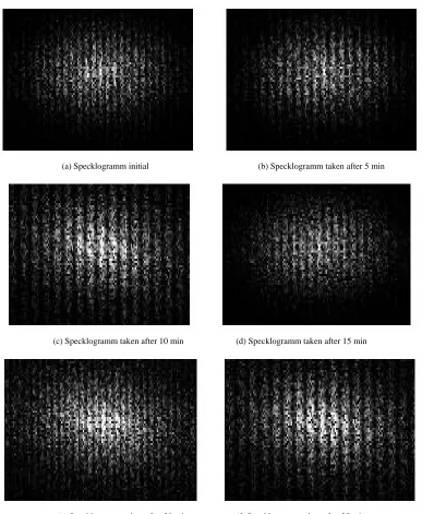 Figure 4. Interferograms for a 304 stainless-steel sample immersed in distilled water and NaCl at 3% solution at: (a) 1 min; (b) 2 min; (c) 3 min; (d) 4 min; (e) 5 min; (f) 6 min after beginning of experimental test