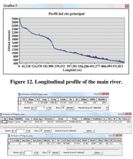 Figure 12. Longitudinal profile of the main river. 