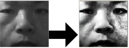 Figure 8. Histogram equalization in weak lighting condition. 