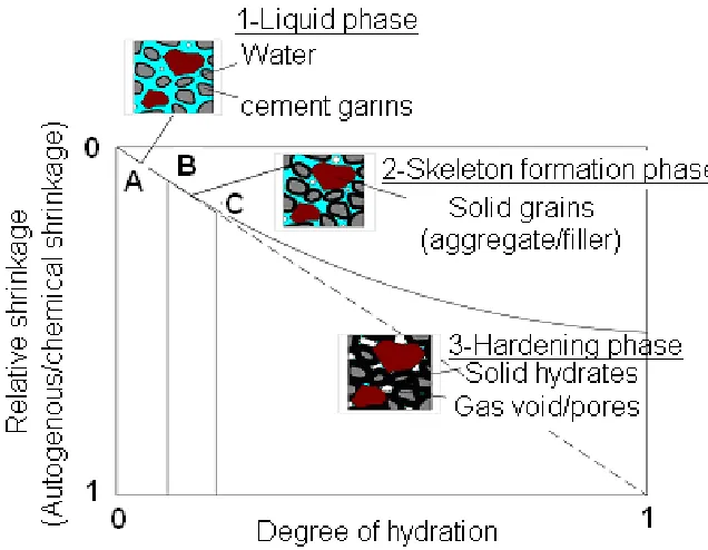 Figure 2-11: Autogenous and chemical shrinkage during different stages, as a 