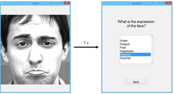 Figure 6. Screenshots of the software application used for the human study. 