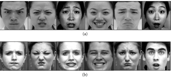 Figure 7. Example of images included in each dataset. For each row from left to right: anger, disgust, fear, happiness, sadness and surprise