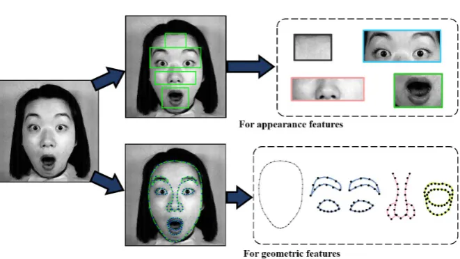 Figure 1. Example of a facial region segmentation based on appearance and geometric features