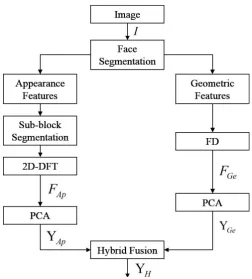 Figure 2. Framework of the fusion process of hybrid Fourier features. 