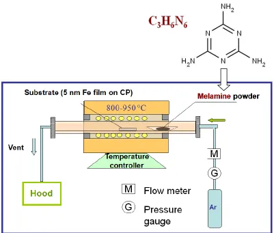 Figure 2.2. Schematic of CVD synthesis of N-CNTs. 