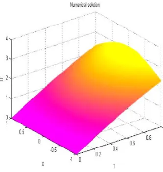 Figure 9: Analytical Solution of Example 5 for  