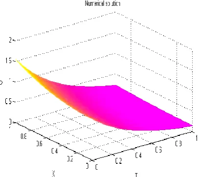 Figure 1: Analytical solution of example 1 for 