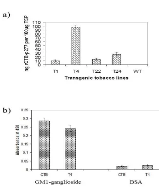 Figure 2.5 a)  ELISA quantification of the CTB-p277 fusion protein. The amount of the CTB-p277 in total soluble protein (TSP) of transgenic tobacco leaf tissues was estimated by using ELISA as described in the Methods