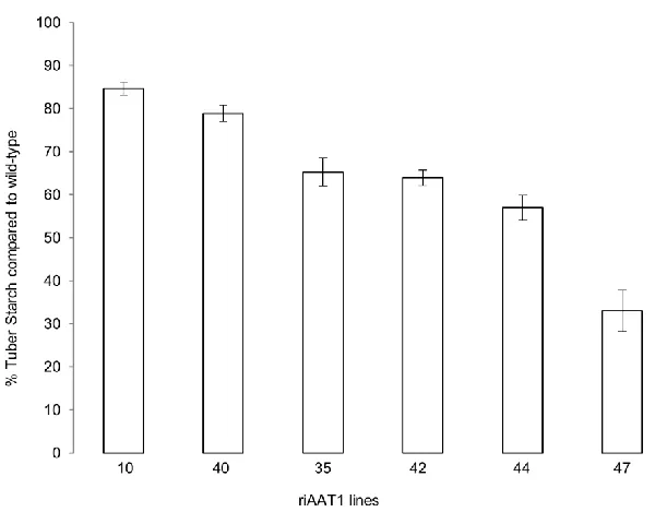 Figure 3.4:  Starch accumulation of riAATP lines. Accumulation is present as percent of starch accumulation against the average accumulation of wild-type tubers from the same experiment (n=3, ± S.E.M.)