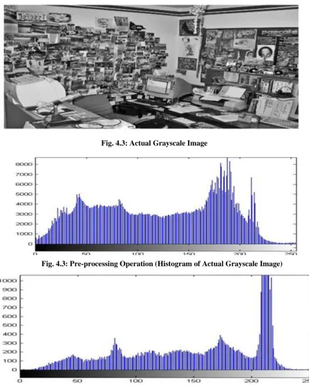 Fig. 4.3: Actual Grayscale Image 