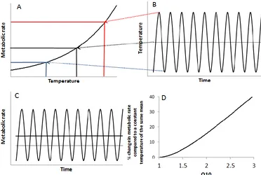 Figure 1.1 - The effects of Jensen's inequality: the mechanism by which thermal variability increases metabolic rate