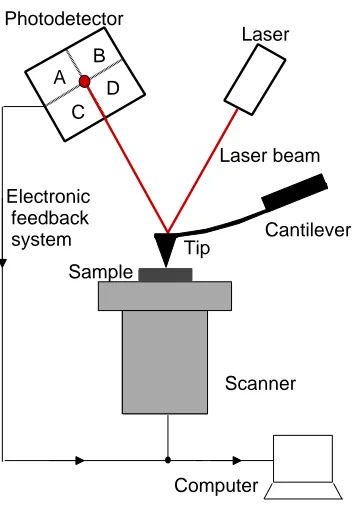 Figure 3.2: Schematic of an AFM.