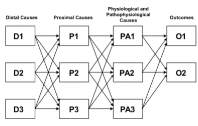 Figure 1A causal-web illustrating various levels of disease causality. Feedbacks from outcomes to preceding layers may also exist