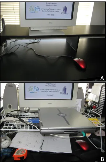 Figure 1.1. Comparative photographs of my desk. (A) An environment where the target 