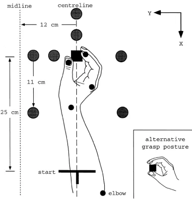 Figure 1.9. Experimental setup for the obstacle avoidance while grasping task (from 