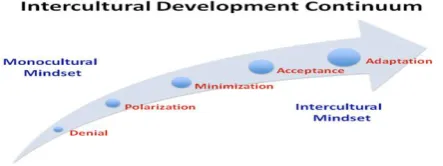 Fig. Intercultural Development Continuum, Hammer,M. (2012:119) 