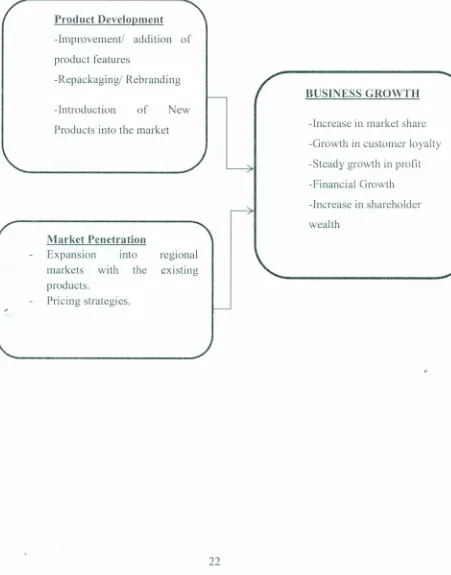 Figure 2.3 : Conceptual framework