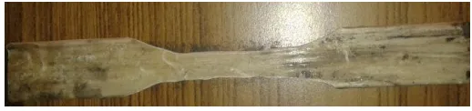 Fig. 4(a): Pultruded GFRP Composite Tensile test Specimen According to ASTM D638 