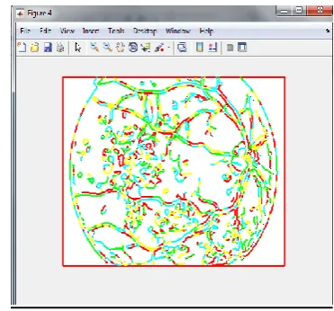 Figure 4.5: Snapshot of Combine a Degree of Nodes 