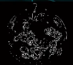 Figure (4): Gray image.  