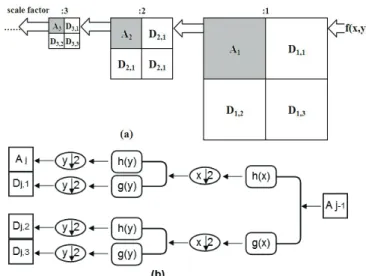 Figure 5 8 Gabor filters (8 orientations)  2.3  Construction of conspicuity maps 