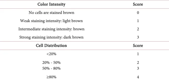 Table 1. Immunohistochemical scores determination. 