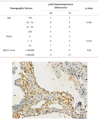 Table 3. Correlation between demographic factors (Age, parity, βhCG Level) and pAkt immunoxpression