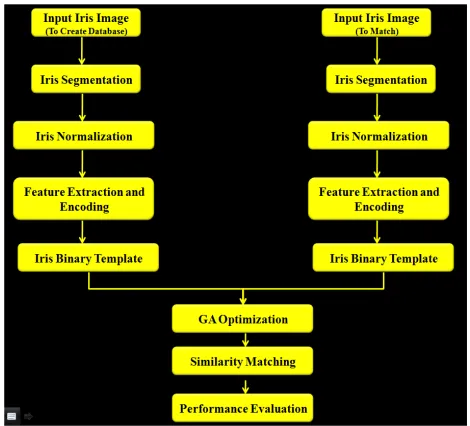 Fig. 1 Basic Iris Recognition System  