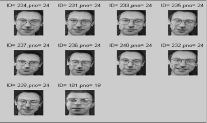 Figure 3: PCA-DCT: Top ten close matches: the first image is the query image 