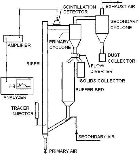 Figure 1.7 - Schematic diagram of a tracer injector / detector system in a CFB riser (from 