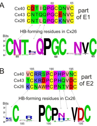 Fig. 2.1. Sequence alignment of the extracellular domains of Cx40 and Cx43 with 