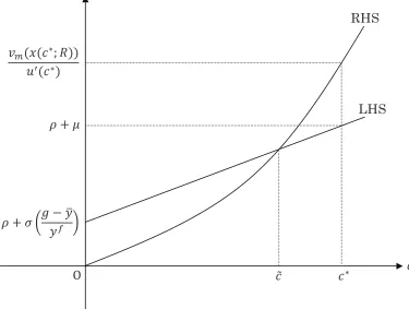 Figure 3: Consumption deﬁciency c∗ − ˜c (> 0) in the case of R ≤ 0