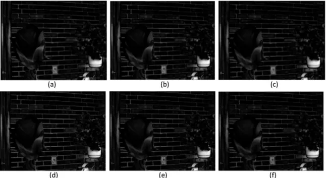 Figure 5 Saliency maps of a flower dataset for three level decomposition: (a), (d) are saliency maps of left and right focused images at level-1, (b), (e) are saliency maps of left and right focused images at level-2, (c), (f) are saliency maps of left and